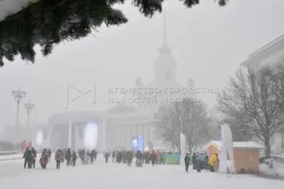 Агентство городских новостей «Москва» - Фотобанк