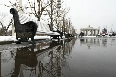 В Гидрометцентре рассказали, когда в Москву придет зима — прогноз погоды на  13—19 ноября — Сноб