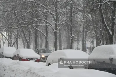 В Москве выпало рекордное количество осадков - РИА Новости, 03.12.2023