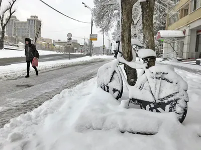 Когда в Москве пройдет первый снег — прогноз погоды — Сноб