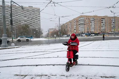 Сколько в Москве выпало снега