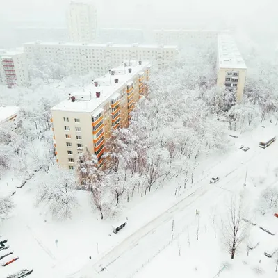 Сегодня ночью в Москве ожидаются снег, метель и гололедица - Москвич Mag