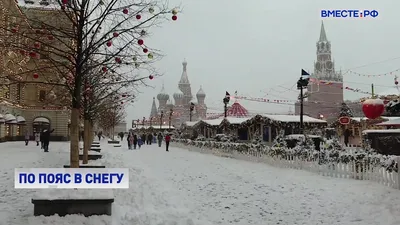 Снег и мороз: синоптик Ильин рассказал о погоде в Москве до конца недели