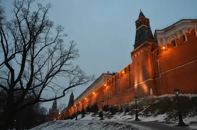 Где в Москве найти лето зимой