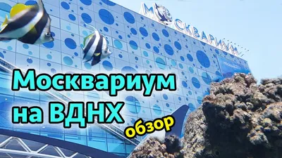 Зоопарк Москвариум Москва, ВДНХ — официальный сайт, отзывы, цены, телефон и  адрес в Москве