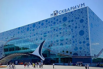 Москвариум (@moskvarium_official) • Instagram photos and videos