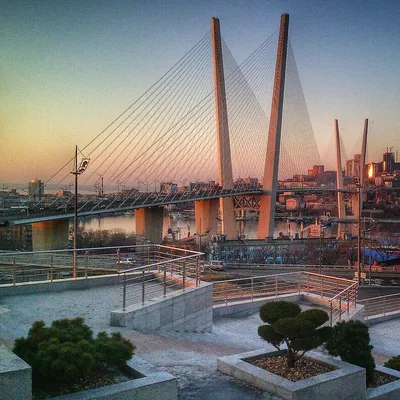 File:\"Russian bridge\" in Vladivostok.jpg - Wikipedia