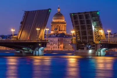 Мосты санкт петербурга фото фото