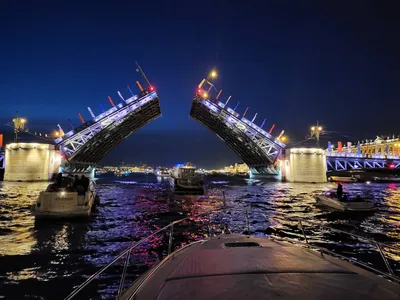 Фотографии знаменитых мостов Санкт-Петербурга, фото мостов Питера