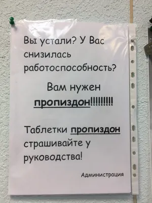 Поиск работы. Мотивация | Интерактивный портал службы занятости населения  Мурманской области