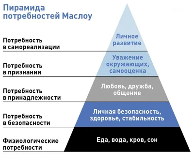 Мотивация - что это такое простыми словами в психологии и менеджменте |  теории и виды мотивации