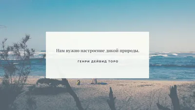 Картинки по запросу мотивация обои на рабочий стол | Мотивация, Книги,  Вдохновляющие