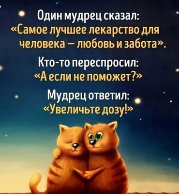 юмор #понедельник #цитаты #наработу #прическа | TikTok