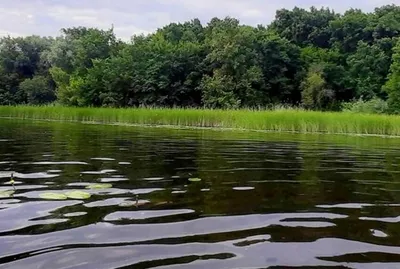 Самая дешевая, но в тоже время самая надёжная Советская моторная лодка  Воронеж | Техника времен СССР | Дзен