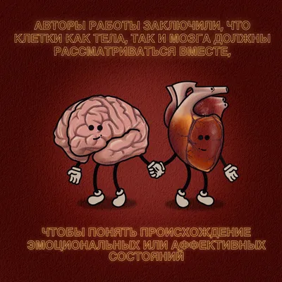 Мозг. Словарь терминов. | Readlax Blog