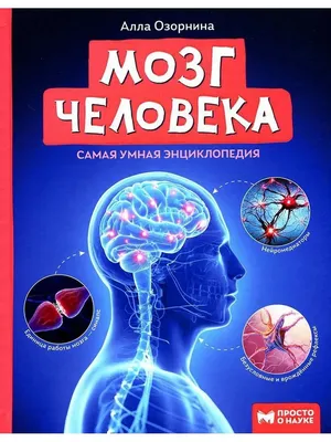 Мозг vs. сердце: кто кем управляет на самом деле?