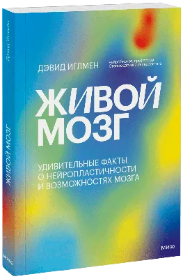 Мозг — все статьи и новости - Индикатор