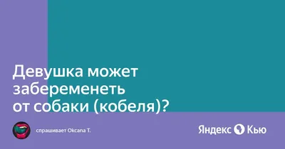 Беременность у собак: основные моменты, планирование и подготовка к родам |  Dog Breeds | Дзен