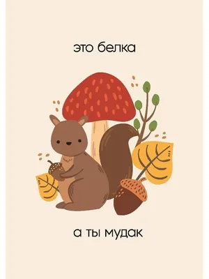 Открытка: Это белка, а ты мудак ARS LAN 16129129 купить в интернет-магазине  Wildberries