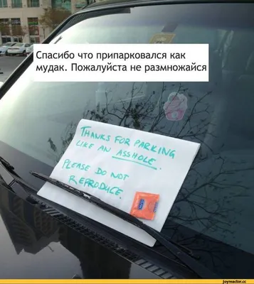 https://naklejki-na-avto.ru/item/20-naklejjka-na-avto-ya-parkuyus-kak-mudak/