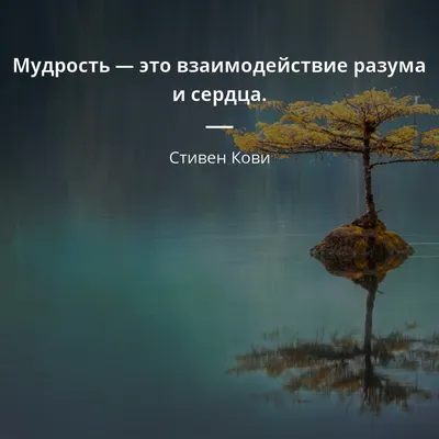 30 мудрых цитат о жизни, людях со смыслом Любимые цитаты на каждый день |  Глоток Мотивации | Дзен