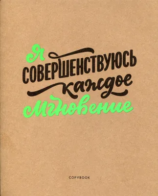 Законы победителей. Мудрые истины. Стратегии успеха. Бодо Шефер купить по  низким ценам в интернет-магазине Uzum (838846)