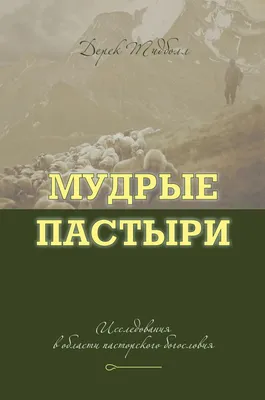 Исламская книга Кладезь мудрости. Саморазвитие мусульманина. Badr Book -  купить с доставкой по выгодным ценам в интернет-магазине OZON (1361542288)