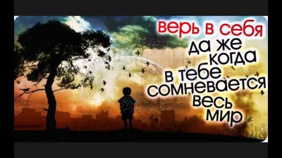 Жванецкий — цитаты о жизни, женщинах, отношениях, про умных — мудрые  смешные афоризмы и мемы в картинках