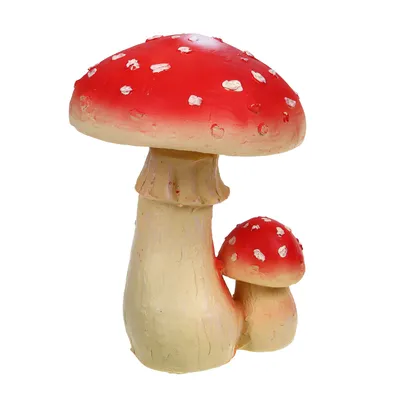 Мухомор красный (Amanita muscaria) - Picture Mushroom