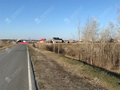 Подборка пляжей и баз отдыха Тюмени, где можно искупаться и позагорать |  Visit Tyumen | Дзен