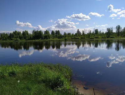 Пляжи Тюмени. Где можно купаться в 2020 году? | 07.07.2020 | Тюмень -  БезФормата