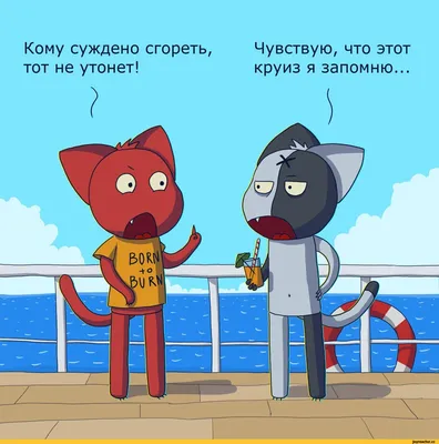 Почему «Рика и Морти» нужно смотреть всем, кто любит безумный юмор | Канобу