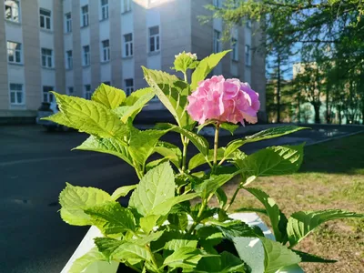 Природные красоты Мурманской области | Пикабу