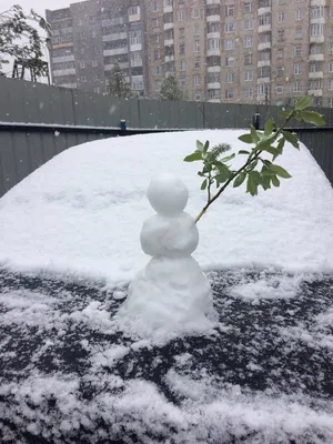 На машине в Мурманск: что посмотреть в столице Арктики, кроме Териберки и  северного сияния - читайте в разделе Путешествия в Журнале Авто.ру