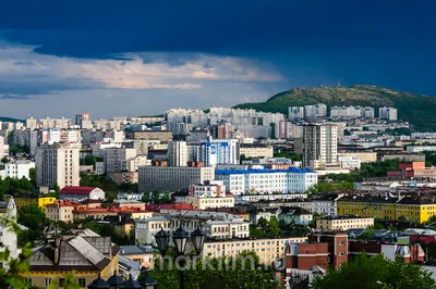 Мурманск попал в топ городов по качеству общественного транспорта: чем  хороши местные автобусы | Мурманская область | ФедералПресс