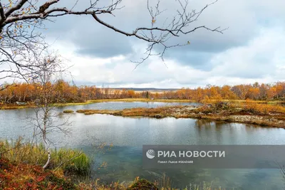 Мурманская область: рост турпотока и глубины бронирования