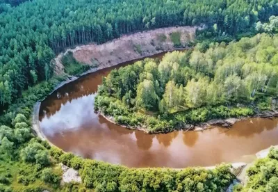 Путешествие в Муромцево: впечатления, отели и цены - Новости Омска - om1.ru