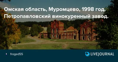 194. Муромцево Омская область. Центр и окраина. Пешком от автовокзала до  пляжа. Деревня Окунево. | Самая удивительная деревня. | Дзен