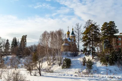 Торговая площадь в Омская область, Муромцево рп ул. Варнавского, 1 .,  Аренда торговых помещений Муромцево, Муромцевский район, ID объекта -  80001317078