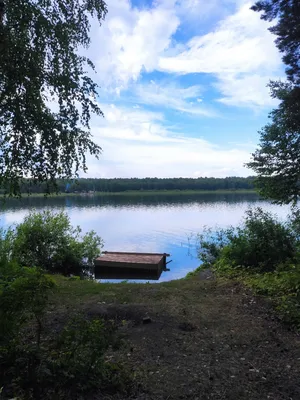 Что посмотреть в городе Тара Омской области в 2021 году - 2 сентября 2021 -  НГС55