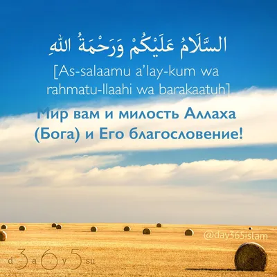 мирвашемудому #рабиульавваль | TikTok