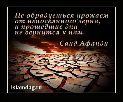 Пин от пользователя li kosh на доске Ислам | Мудрые цитаты, Цитаты,  Вдохновляющие фразы