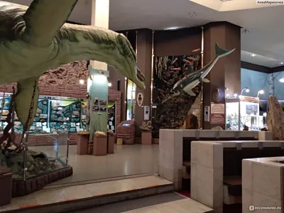 Музей Алабина, Самара. Выставки в 2024 году, официальный сайт, динозавры,  расписание музея, как добраться на Туристер.ру