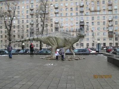 Фотоподборка из Дарвиновского музея в Москве. Часть первая | Пикабу