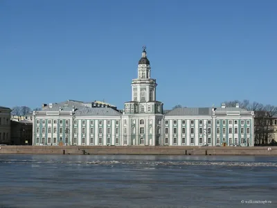 В Петербурге появилась Петровская Кунсткамера, или Башня знаний.  Фоторепортаж | ИА Красная Весна