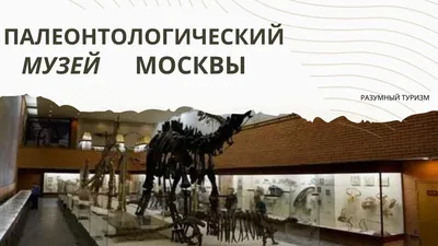 ПАЛЕОНТОЛОГИЧЕСКИЙ МУЗЕЙ • Большая российская энциклопедия - электронная  версия