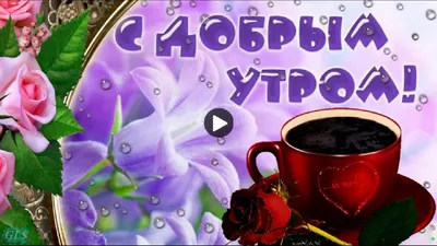 С добрым утром!#видеооткрытка #открыткасдобрымутром#открытка #рекоменд... |  TikTok