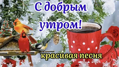 С добрым утром,друзья, и хорошего вам дня! ~ Открытка (плейкаст)