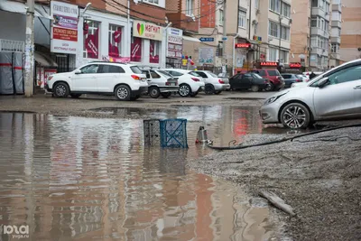 Поле, камыши, лягушки: каким был Музыкальный микрорайон Краснодара до  застройки - KrasnodarMedia.ru