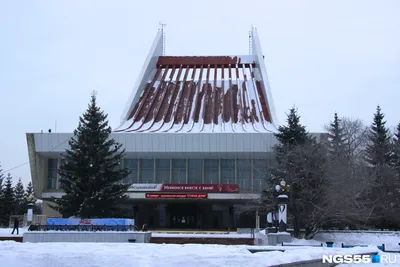 Убившая сантехника кларнетистка Музыкального театра рассказала о своих  отношениях с любовником - 6 декабря 2019 - НГС55